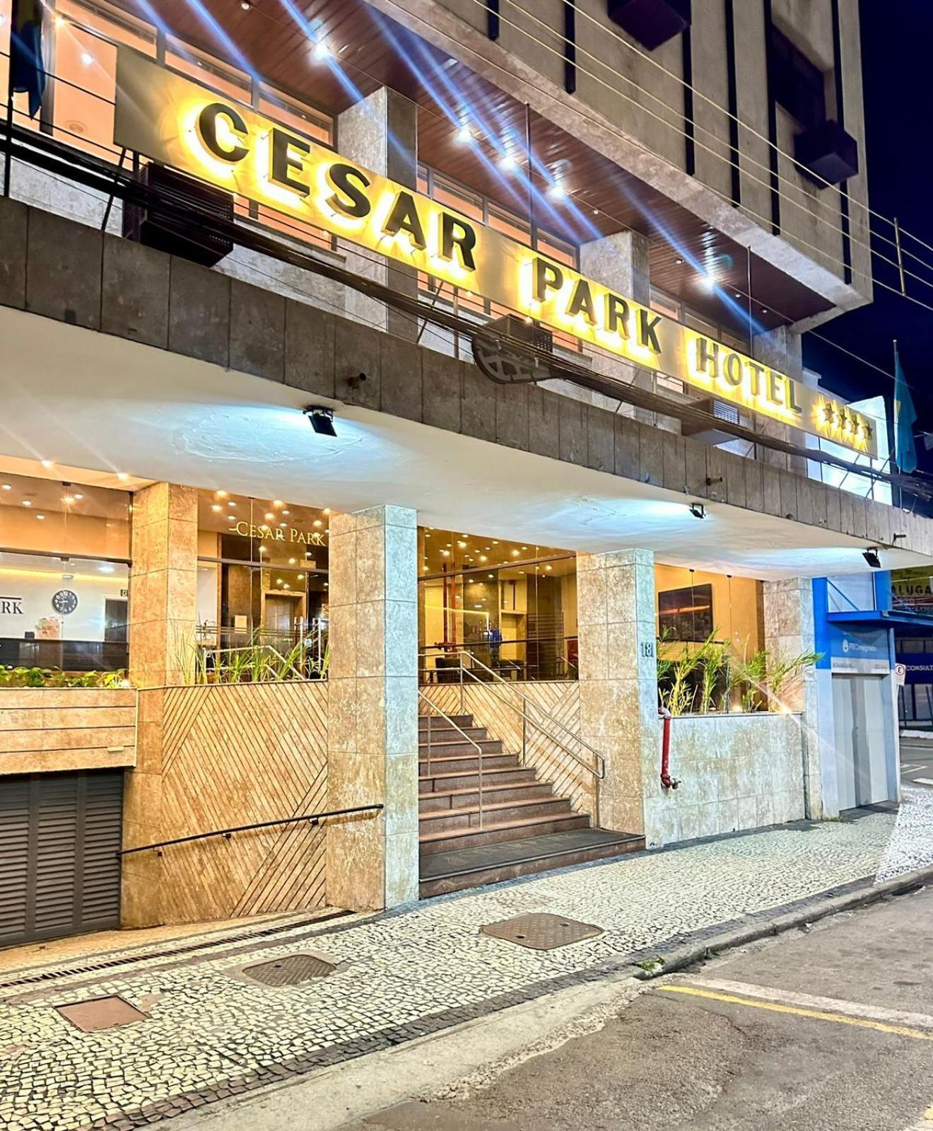 Cesar Park Hotel Жуиз де Фора Екстериор снимка